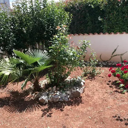 Apartman Bozena 1 *